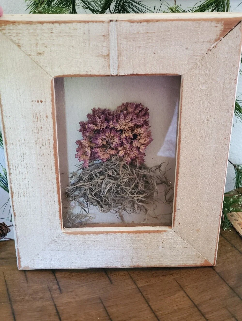 Rustic Framed Dried Pink Flower Shadow Box Botanical Wall Art 8x10